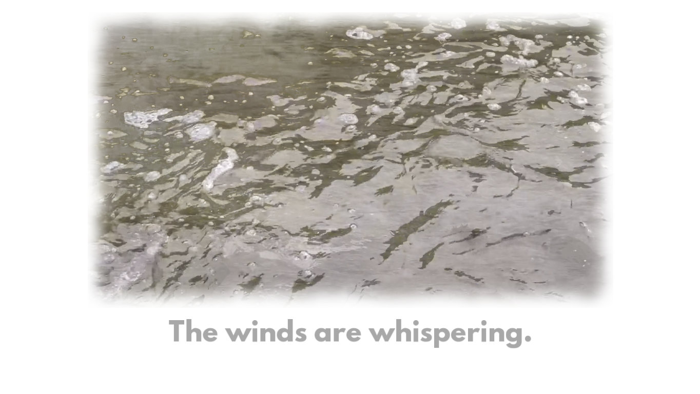 A screenshot of the work. An image of grey-green water surrounded by a feathered white borderm, with the words 'The winds are whispering' printed beneath.