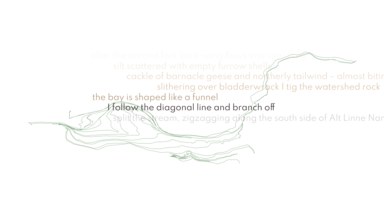 Screenshot of the poem in action, with the GPS trail the poem is based on in the background, and the following text centred in the middle of the screen, the previous lines fading out above it: 'I follow the diagonal line and branch off'